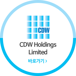 cdw hodings limited