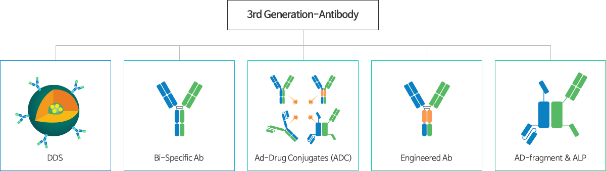 3rd Generation-Antibody